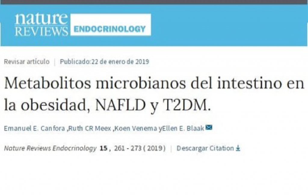 Metabolitos microbianos del intestino